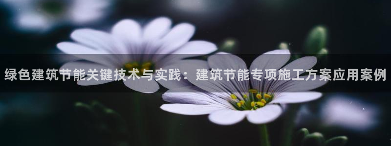 尊亿娱乐国际官网：绿色建筑节能关键技术与实践：建筑节能专项施工方案应用案例